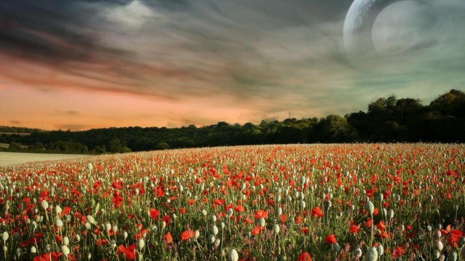 冬天也要穿胸罩吗?